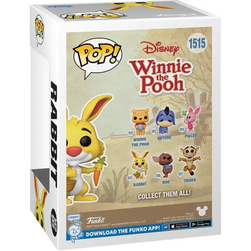 Winnie the Pooh Rabbit Funko Pop Vinyl Figure box showcasing Rabbit character