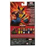 6-Inch Wolverine Action Figure from Marvel Legends Return - Men Marvel Legends Action Figure Series 2